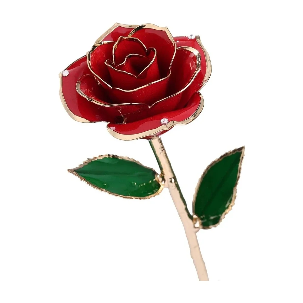 DSKENU 24K Gold Plated‎ Resin Preserved Real Red Eternal Rose Gift Box Set